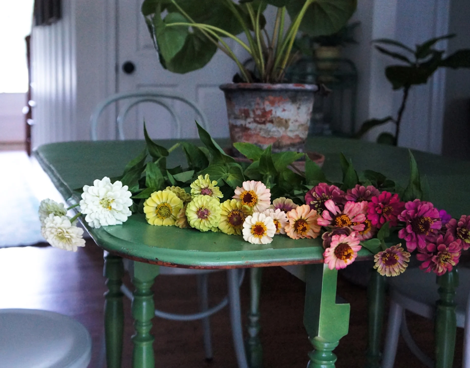 The Cutting Garden 2018