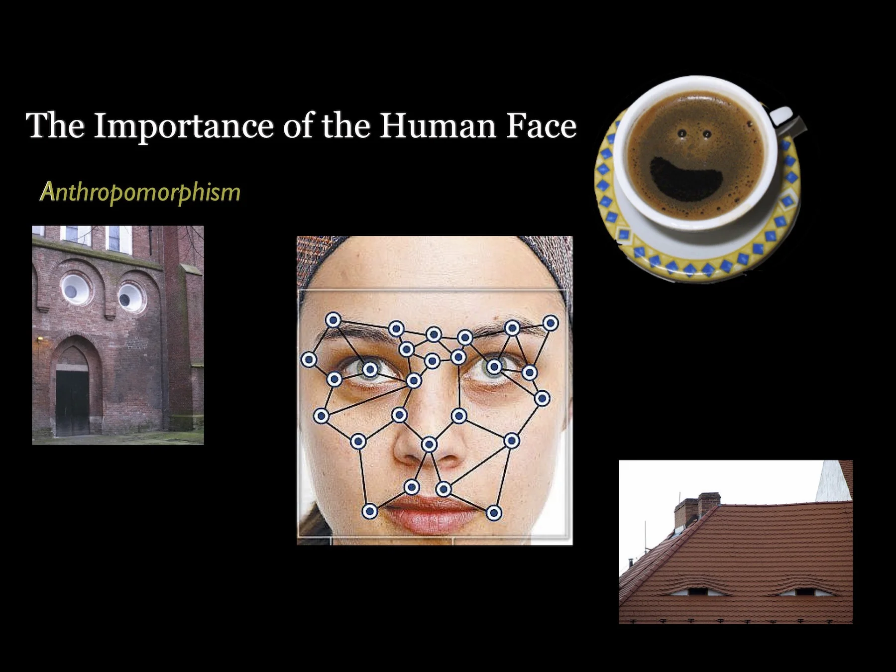 Human Face Course 5.jpg