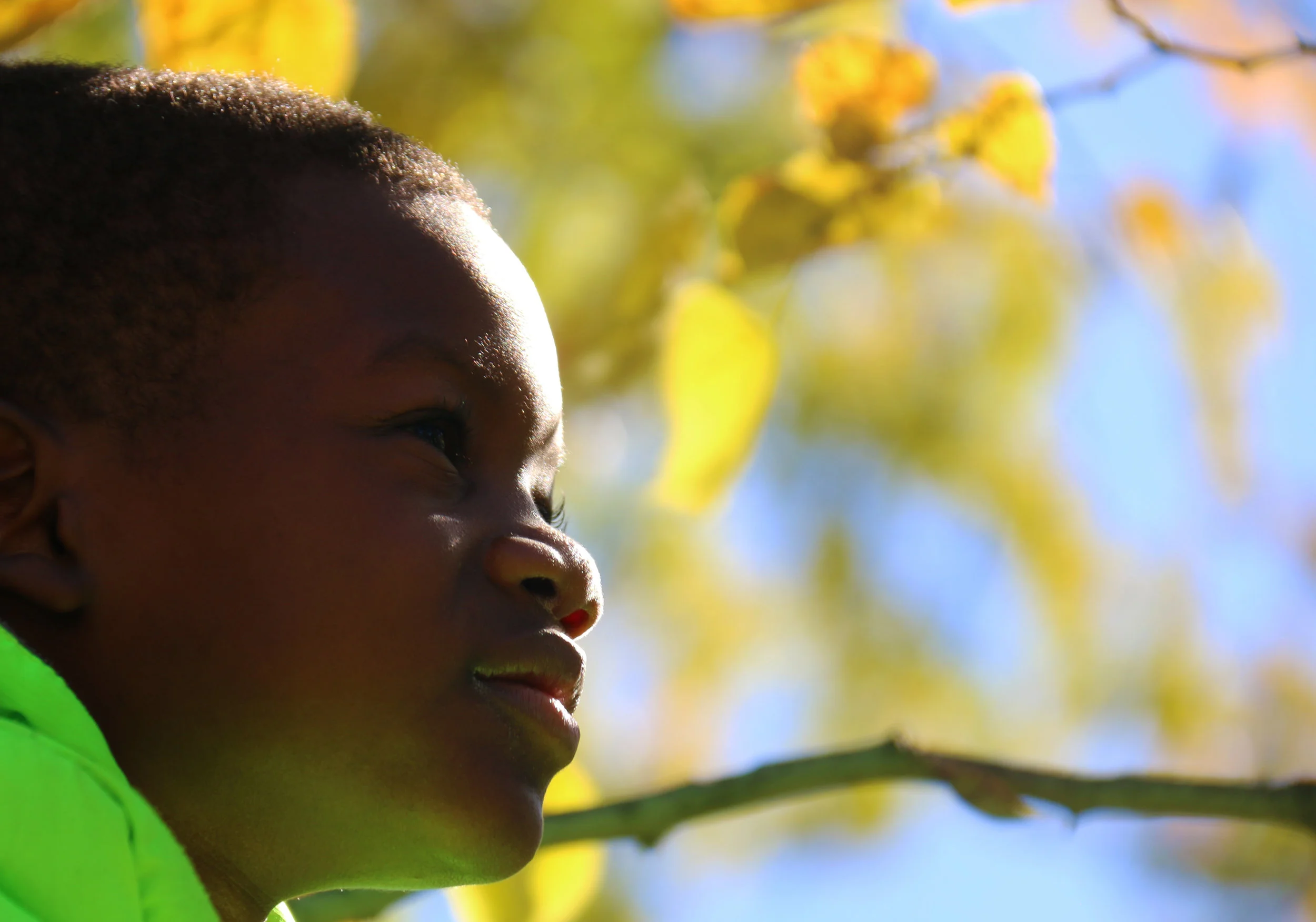 Ja’Keem Jones sits on the tree watching the ball in the yard on Sunday, Oct.28, 2018 in Florissant, Missouri. “It’s fun,” Erica said. “He’s always all over the place and curious.” (Photo by Jiayi Shi)