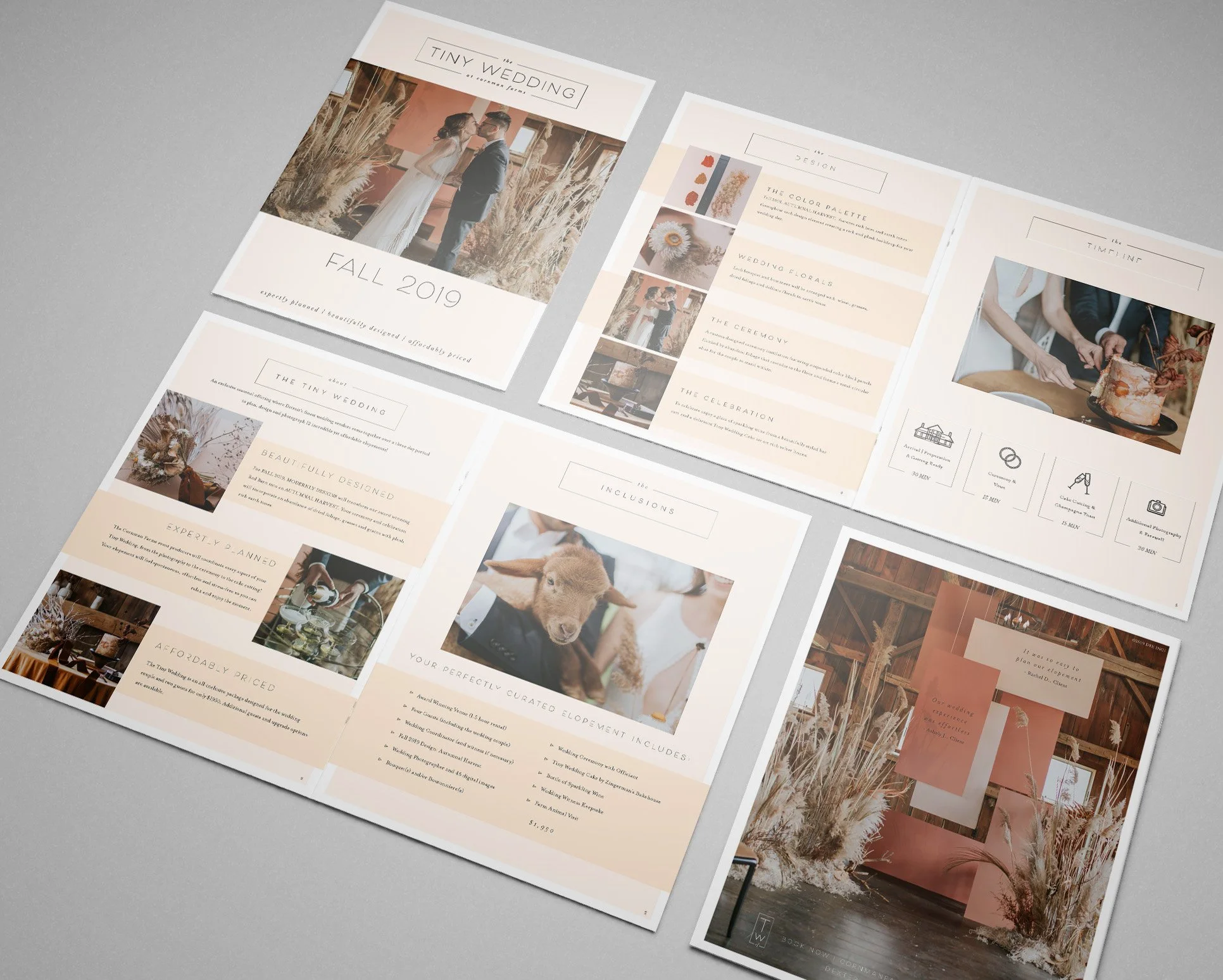 Tiny Wedding Brochure.jpg