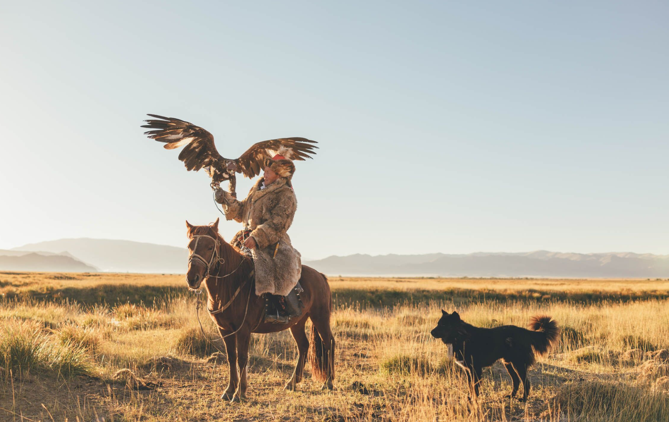 Screen Shot 2019-04-20 at 6.13.08 pm.png