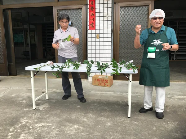 Steve Huang and Thomas Shu explaining the various Taiwan tea cultivars.
