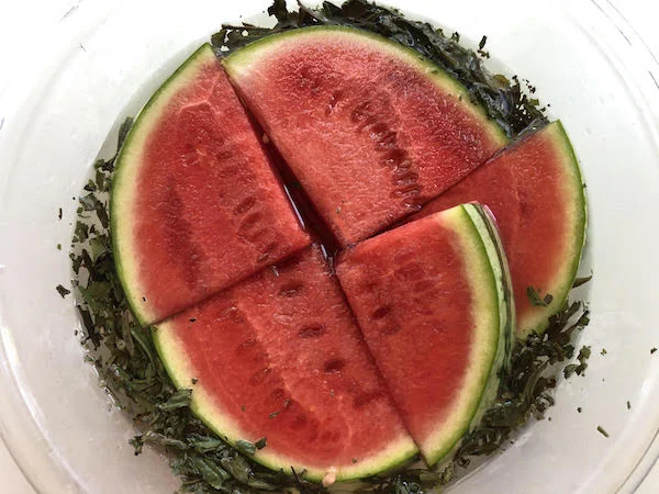 Add the spent tea leaves to the watermelon bowl as it infuses, for extra kick!