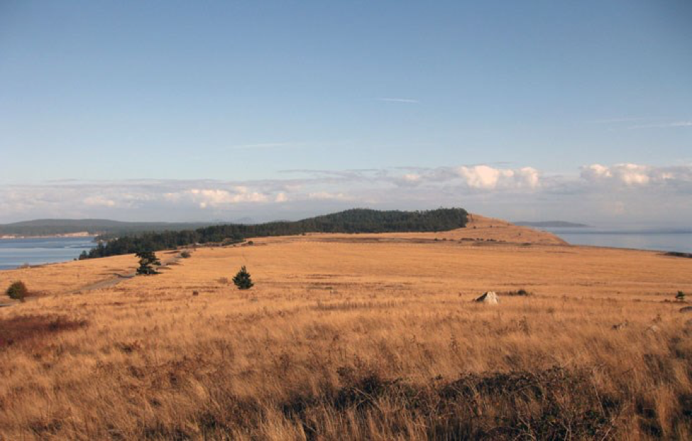 redoubt 1 .png