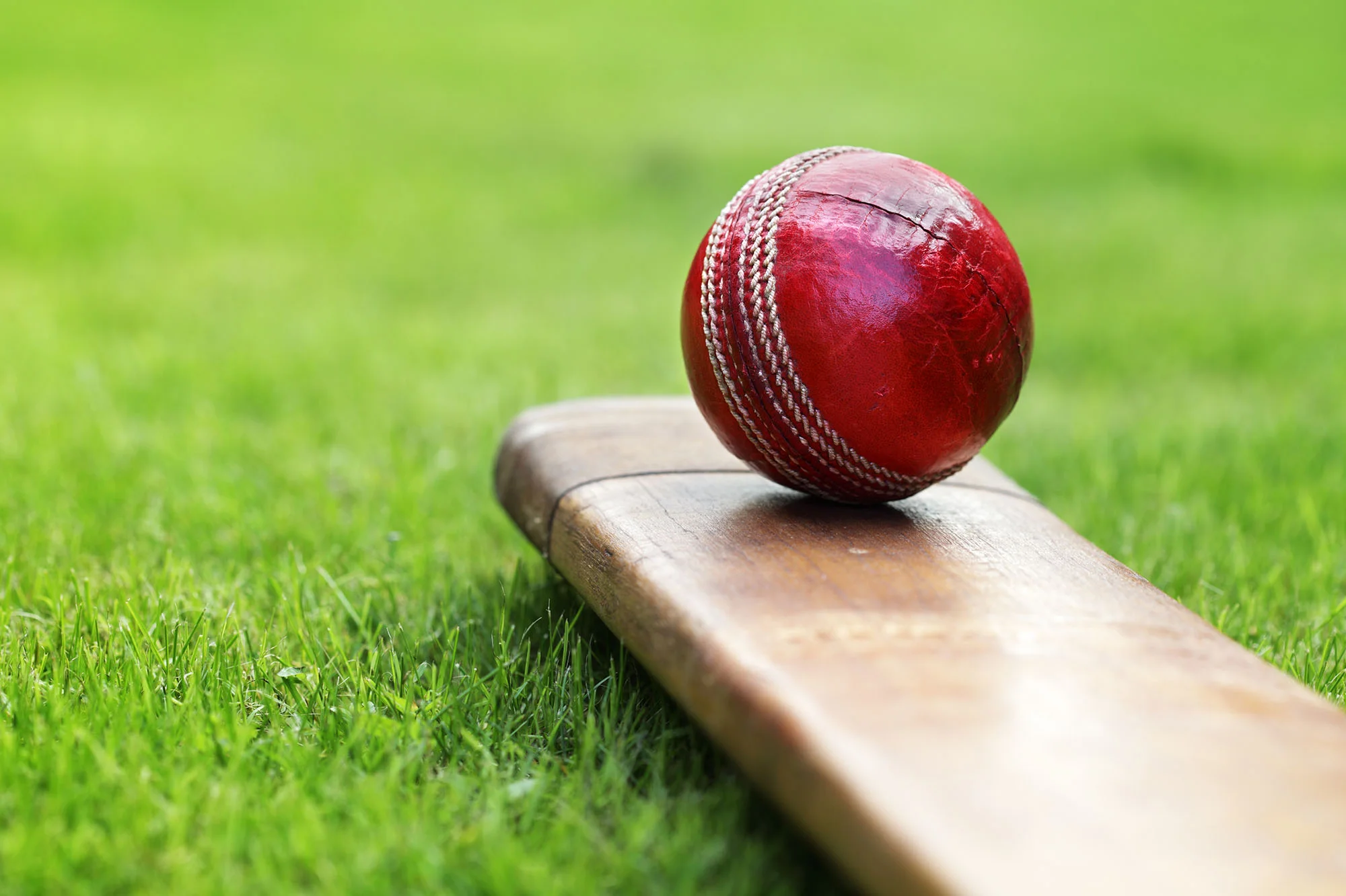 Cricket_shutterstock_114007321.jpg