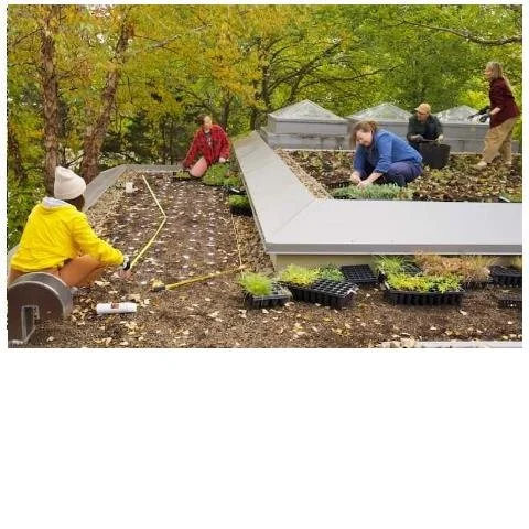 Chapel Restoration Green Roof Restored