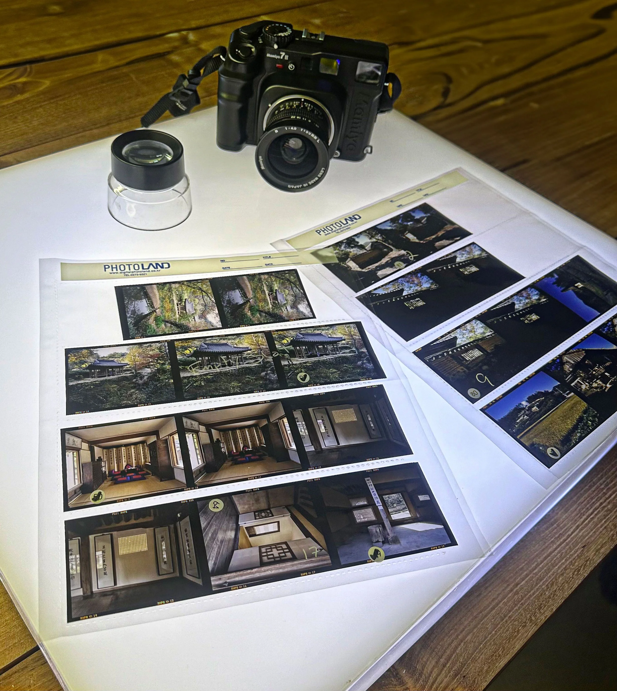 An Essay In Progress