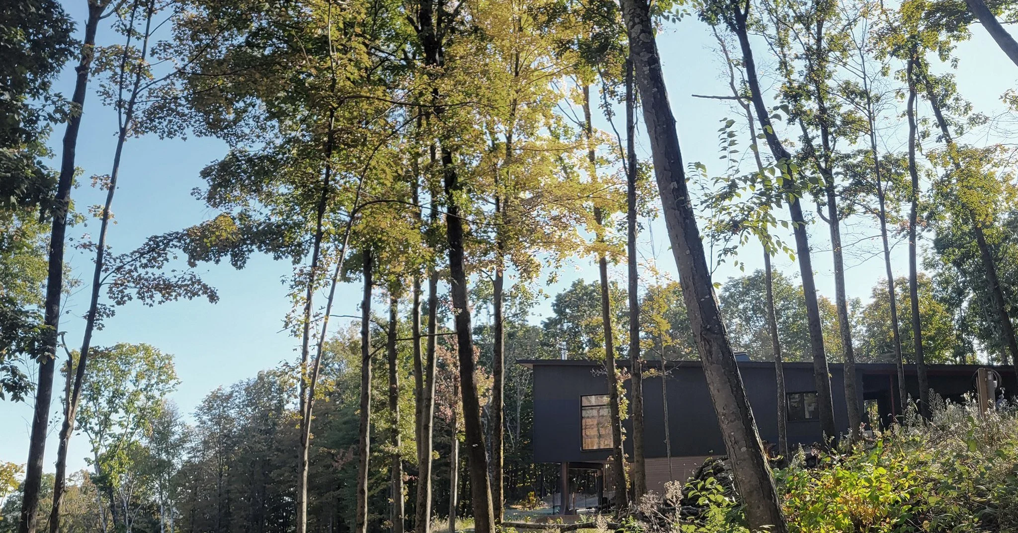 A glimpse of the Steps House in progress. Designed to blend into the ridgeline but stand out in performance.

Phius Design Certified.