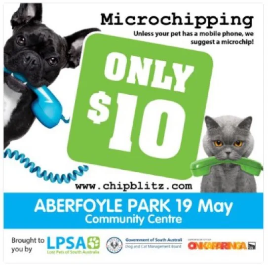 Microchipping.jpg