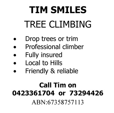 Tim-Smiles-Tree-Climbing-6x6.jpg