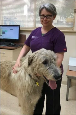 June2018_MeadowsVet1.jpg