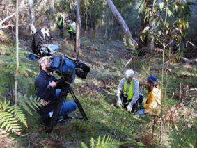 Filming the Totally Wild segment in Almanda Creek.
