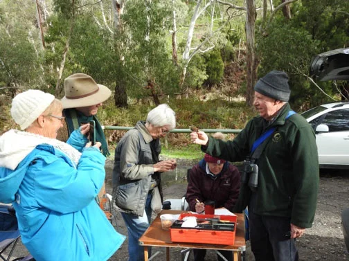 Bird banding in the park