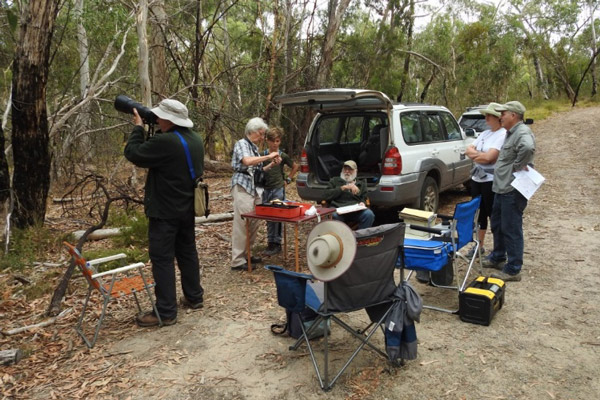 Friends of Scott Creek Conservation Park