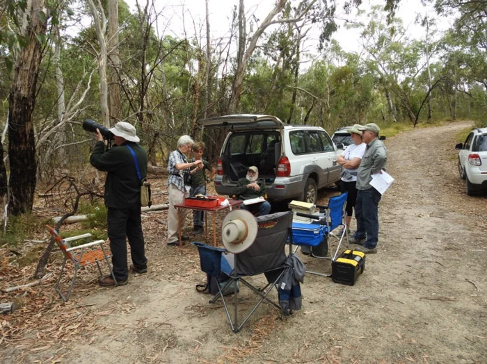 Volunteers digging up bulb weeds in the Park