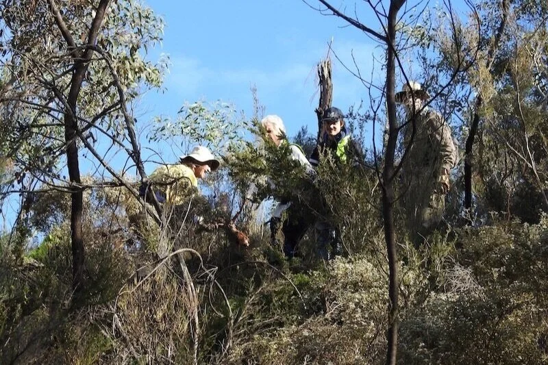 Friends of Scott Creek Conservation Park 
