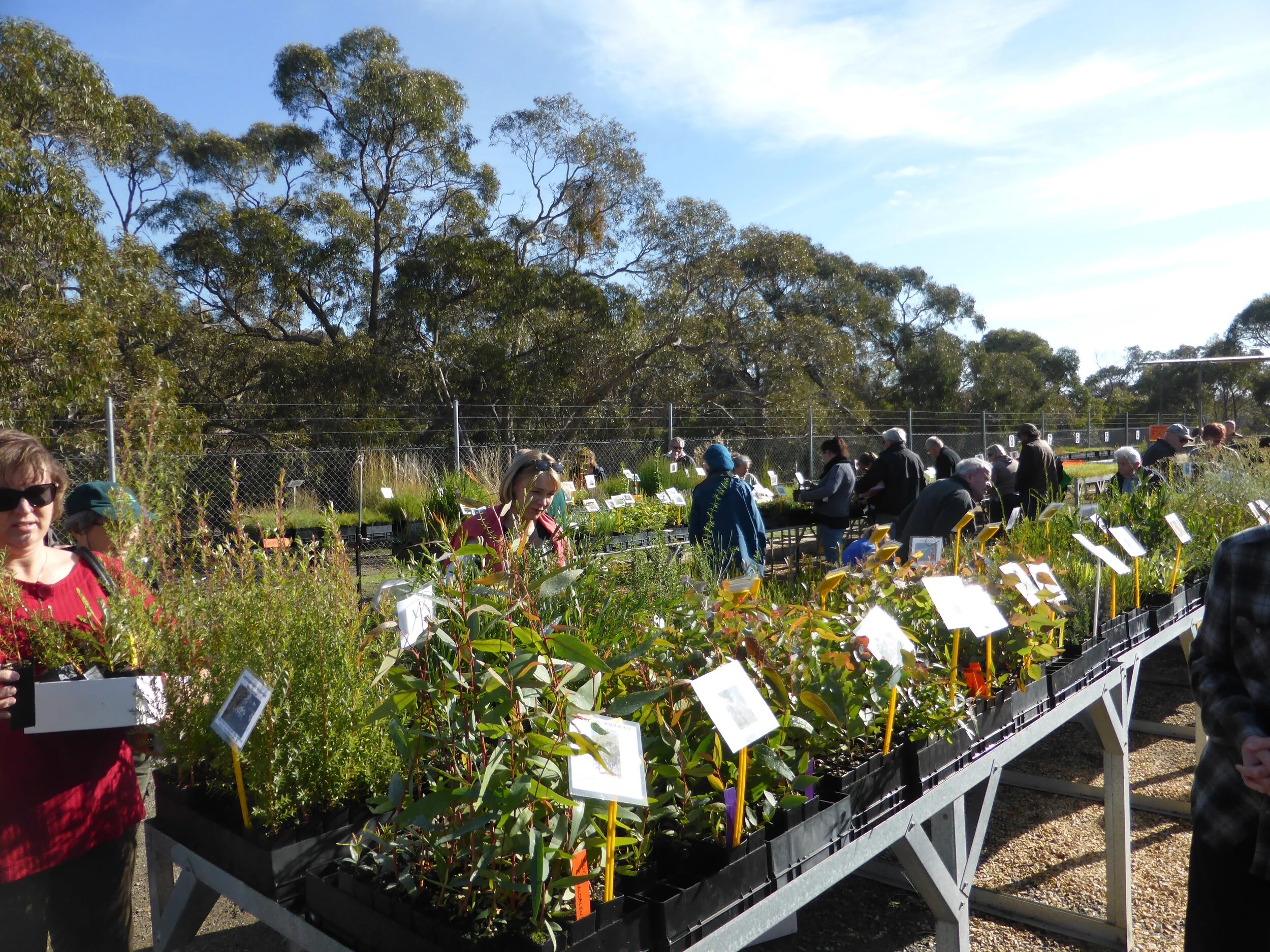 Bushfire Recovery and Support