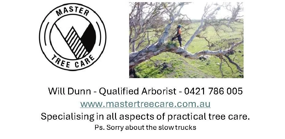 Will Dunn arborist.jpg