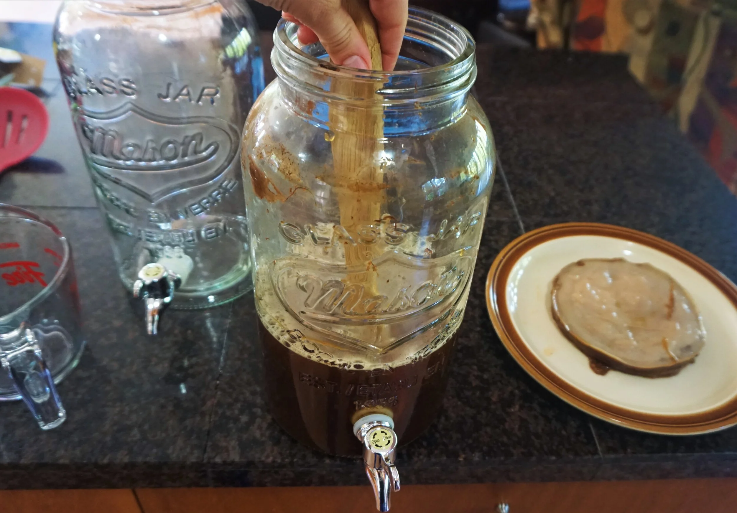 A Beginner's Guide to Brewing Kombucha — The Gut Nursery