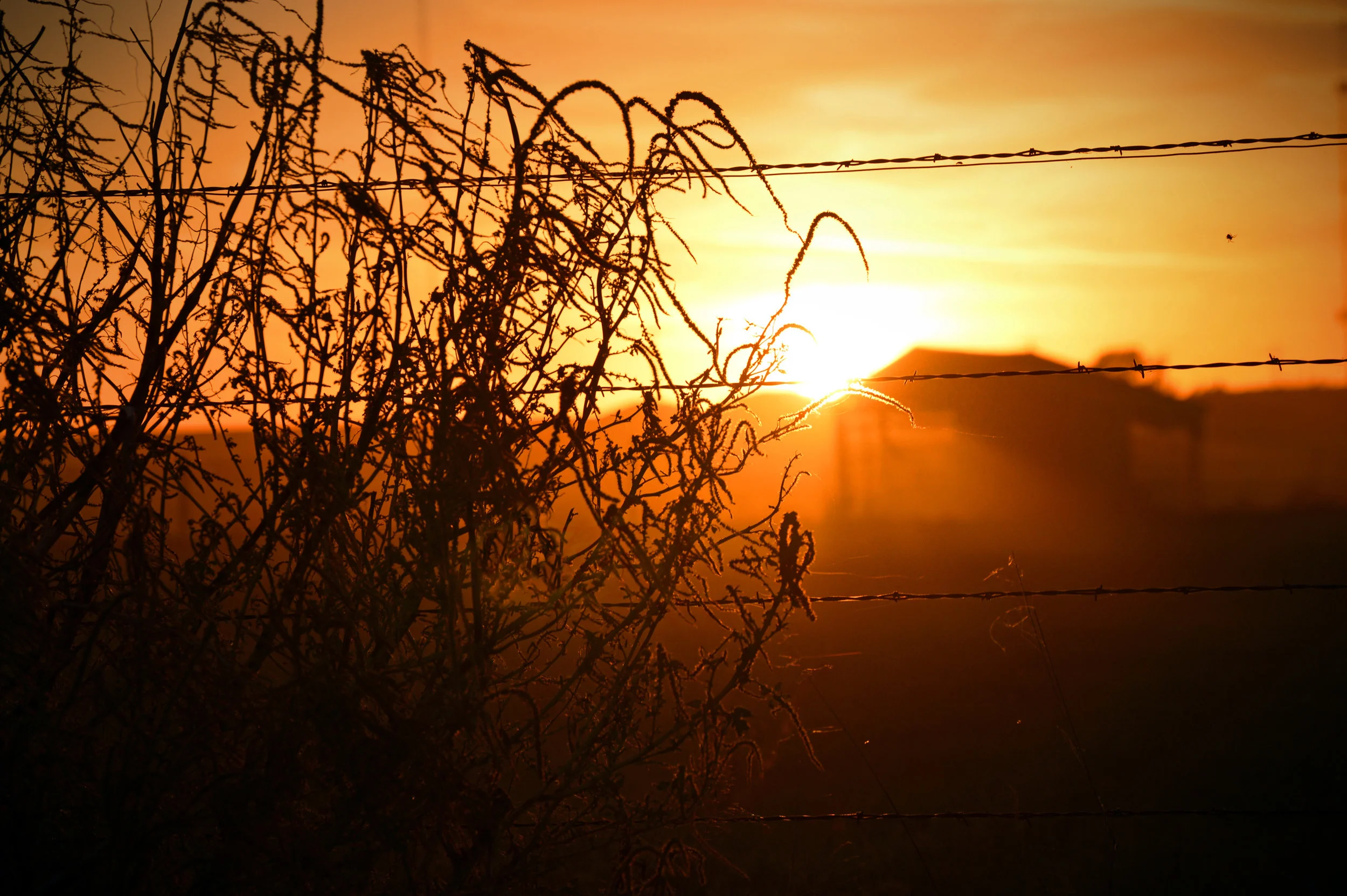 PCroadsunset7b.jpg