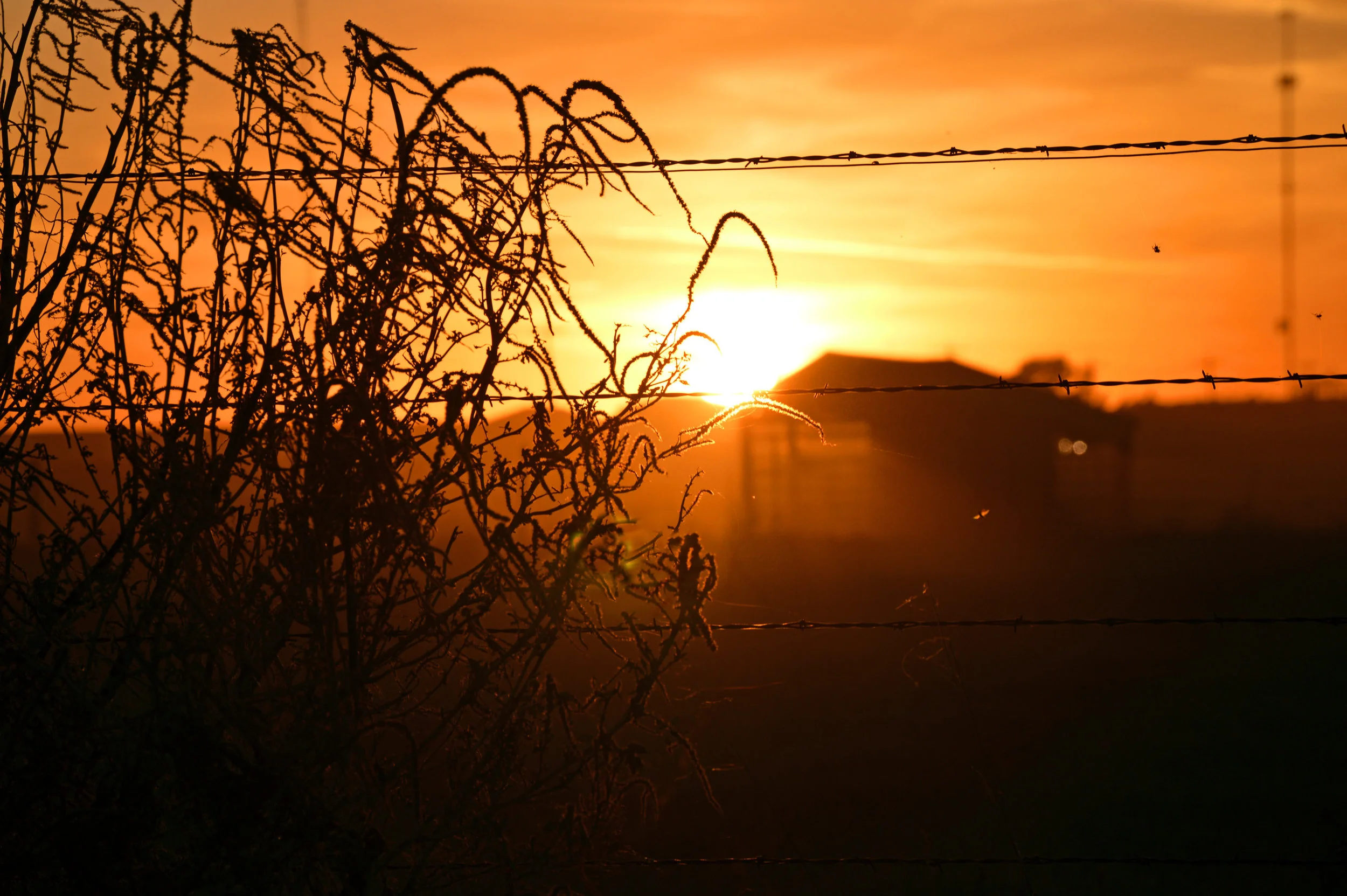 PCroadsunset8.jpg