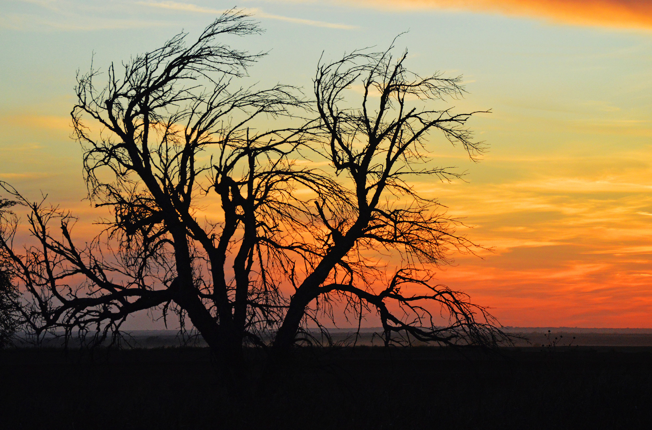 PCroadsunset10.jpg