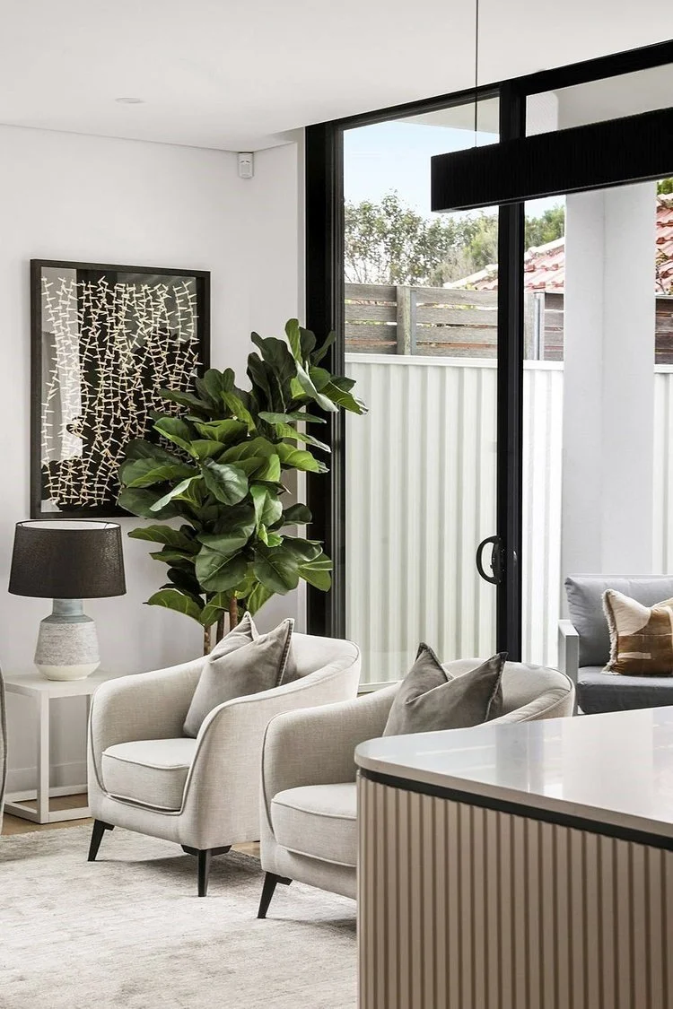 Sydney luxury living room by Al & Co Haus of Design with grey velvet chairs and fiddle leaf fig and reeded island