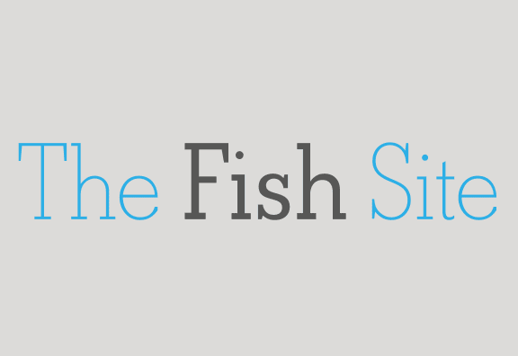 The Fish Site: The echinoderm cowboys who can help Norway's kelp