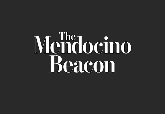 Mendocino Beacon: Help the Kelp alliance looks to the future