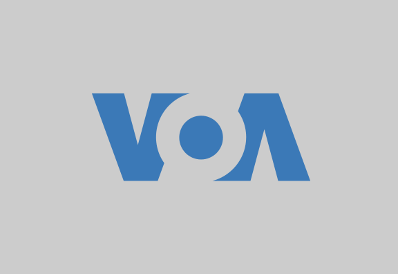 VOA China: 海水变暖助长海胆吞噬海藻林