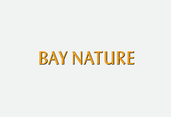 Bay Nature: Bringing Back Kelp
