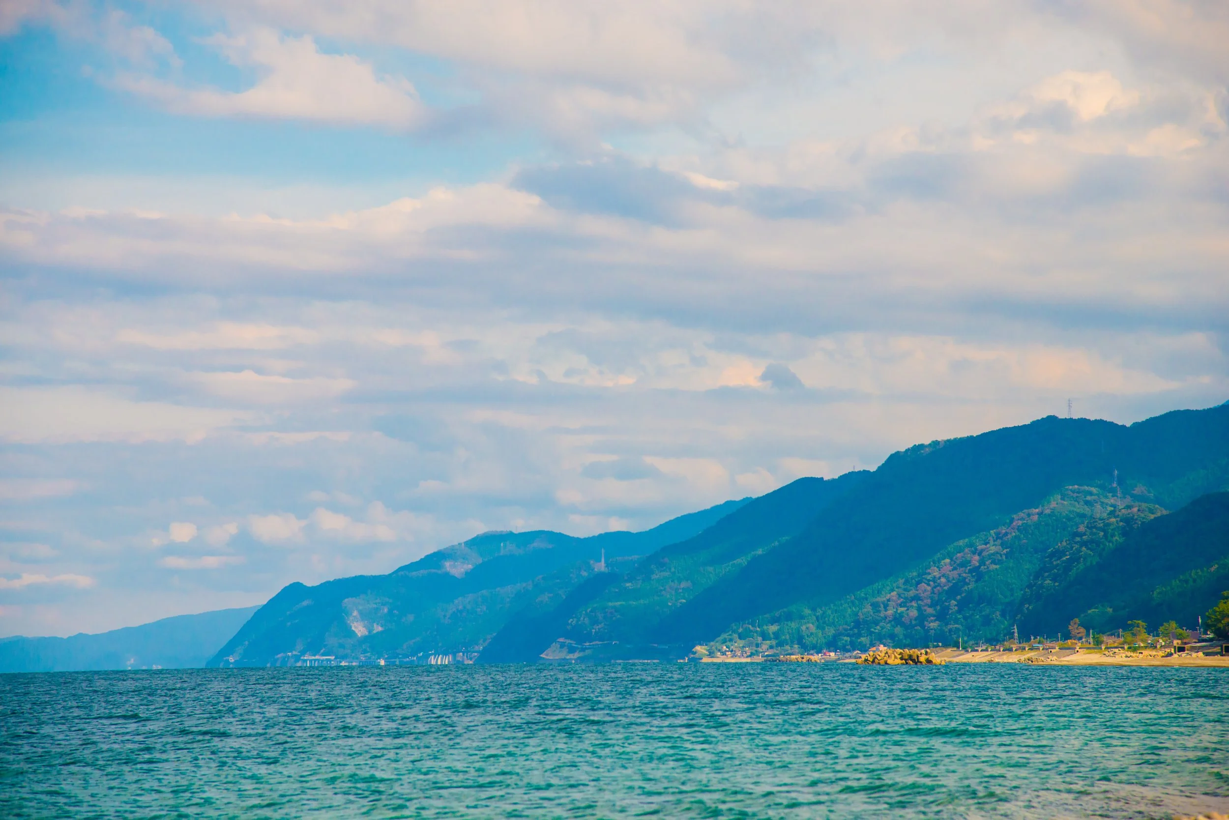 Asahi Town and Uninomics KK Launch Sea Urchin Farming Project to Combat Coastal Barrenness in Toyama Bay