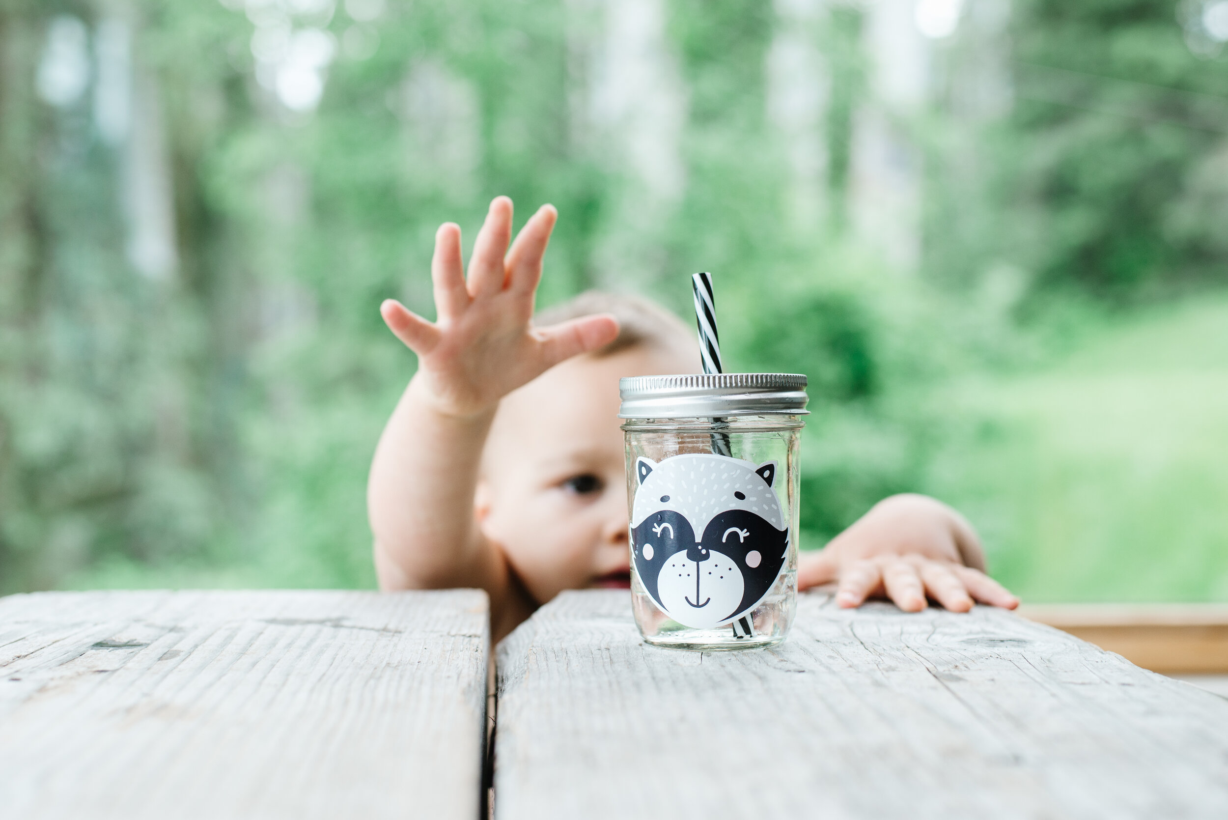 small boy reaching up his hand to grab a reusable raccoon tumbler from a wooden table