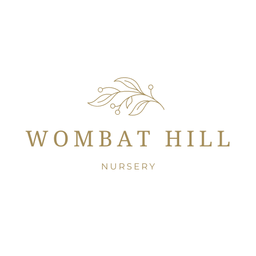 Wombat Hill Nursery