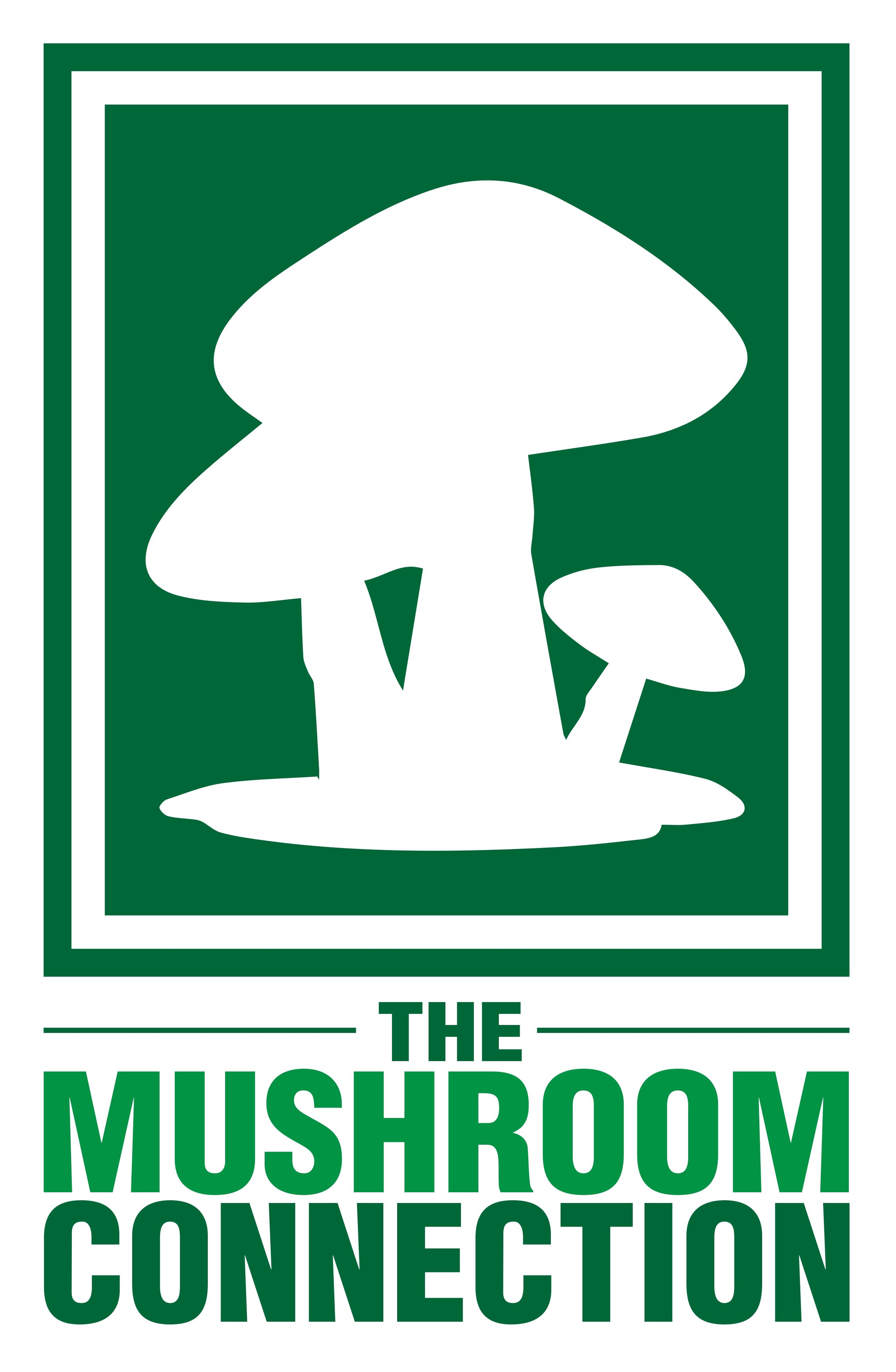 The Mushroom Connection