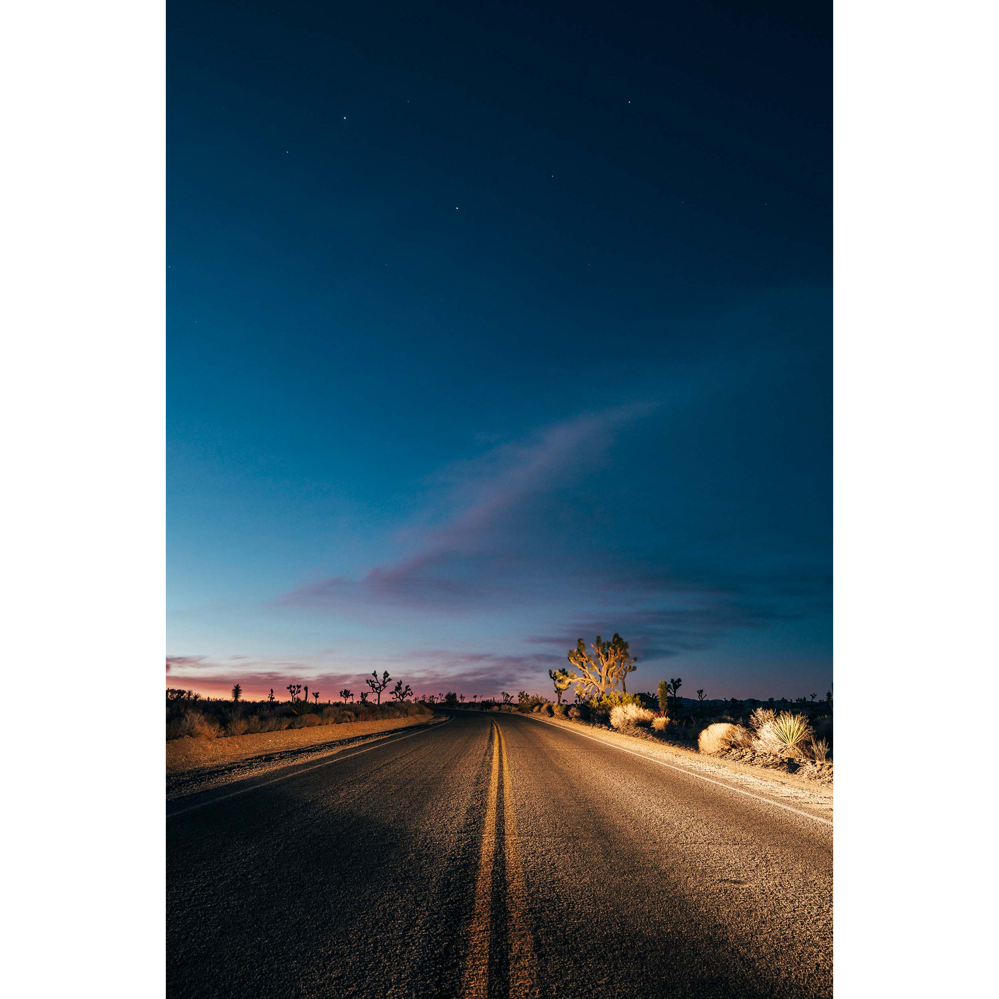 Joshua Tree Square.png