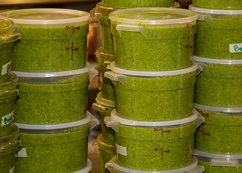 hotlips-basil-pesto (Copy)