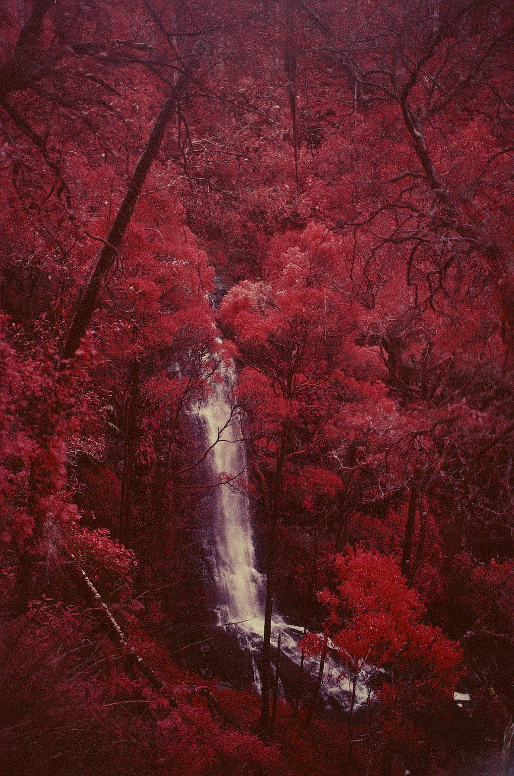 Waterfall_Infared1.jpg