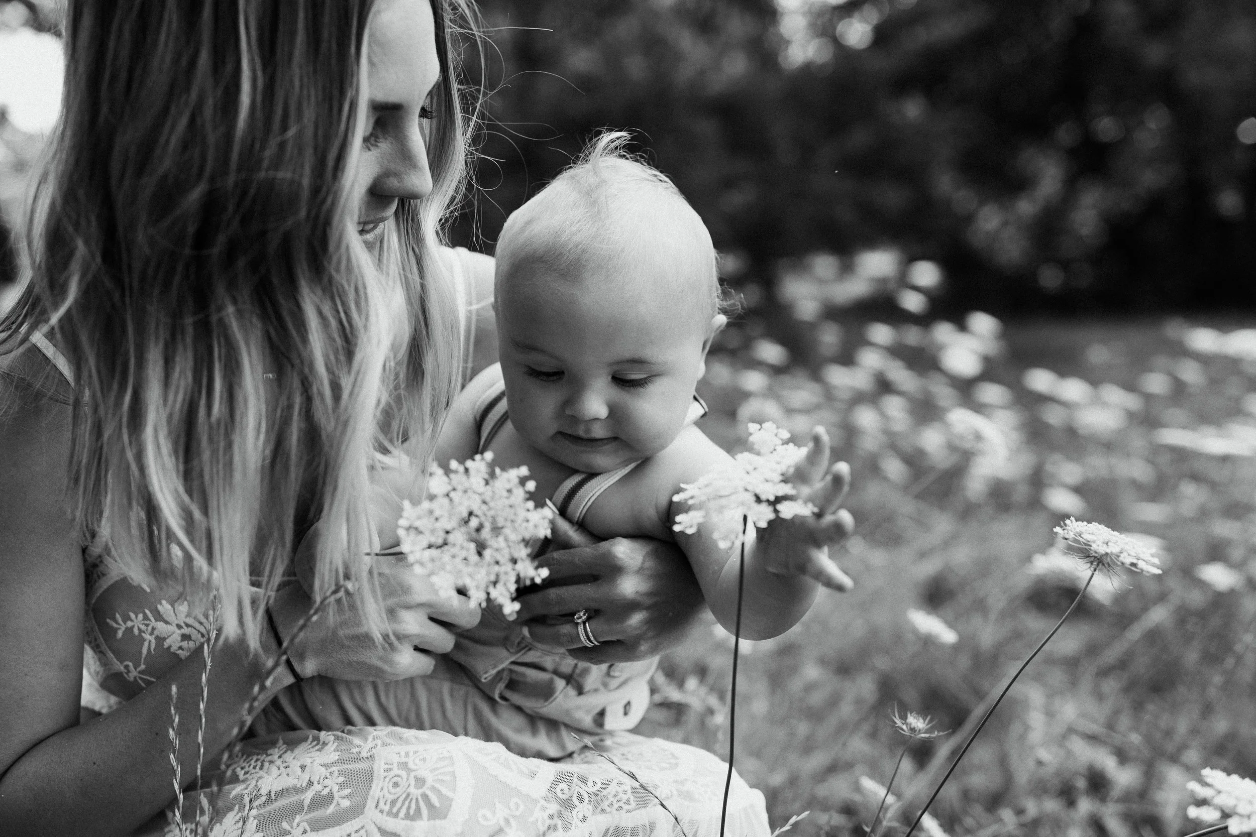 Lindsay Petty Photography - motherhood photoshoot in a field - Salem, Oregon