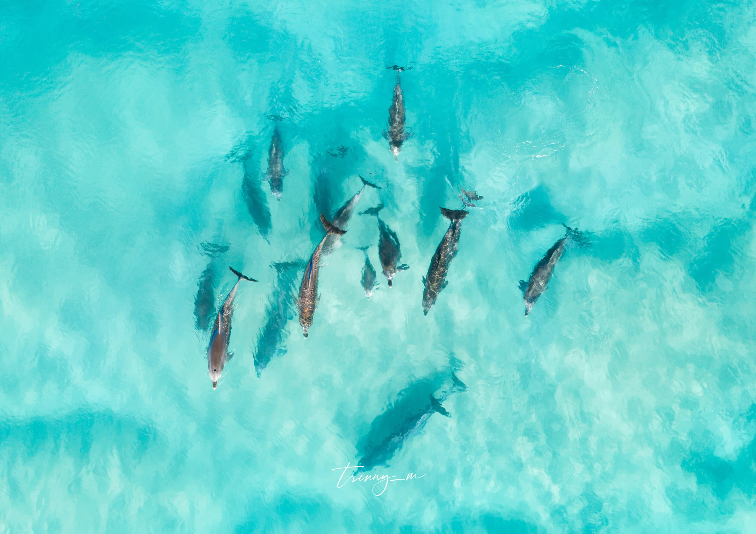 DJI_0631-158.jpg