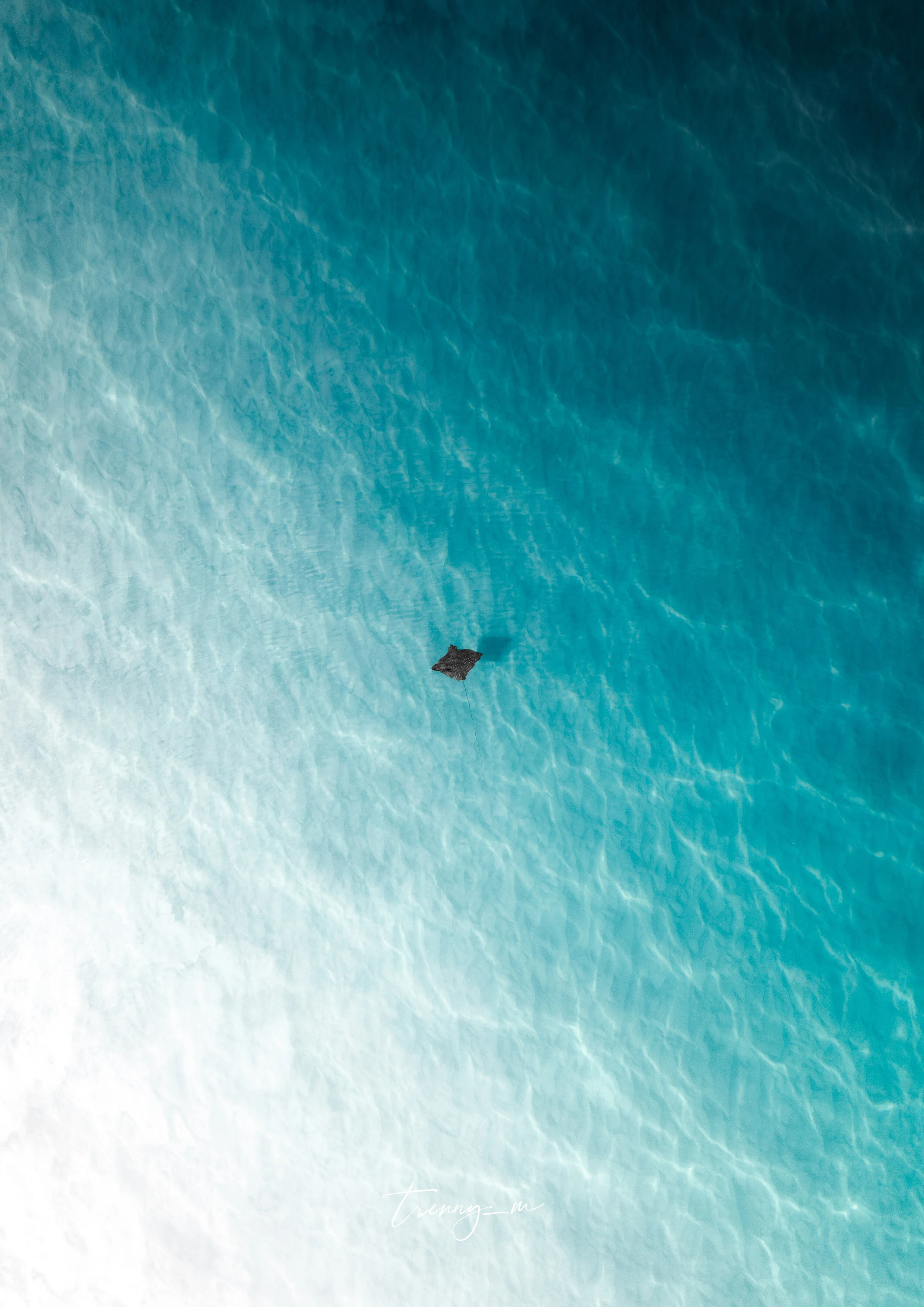 DJI_0015-1.jpg