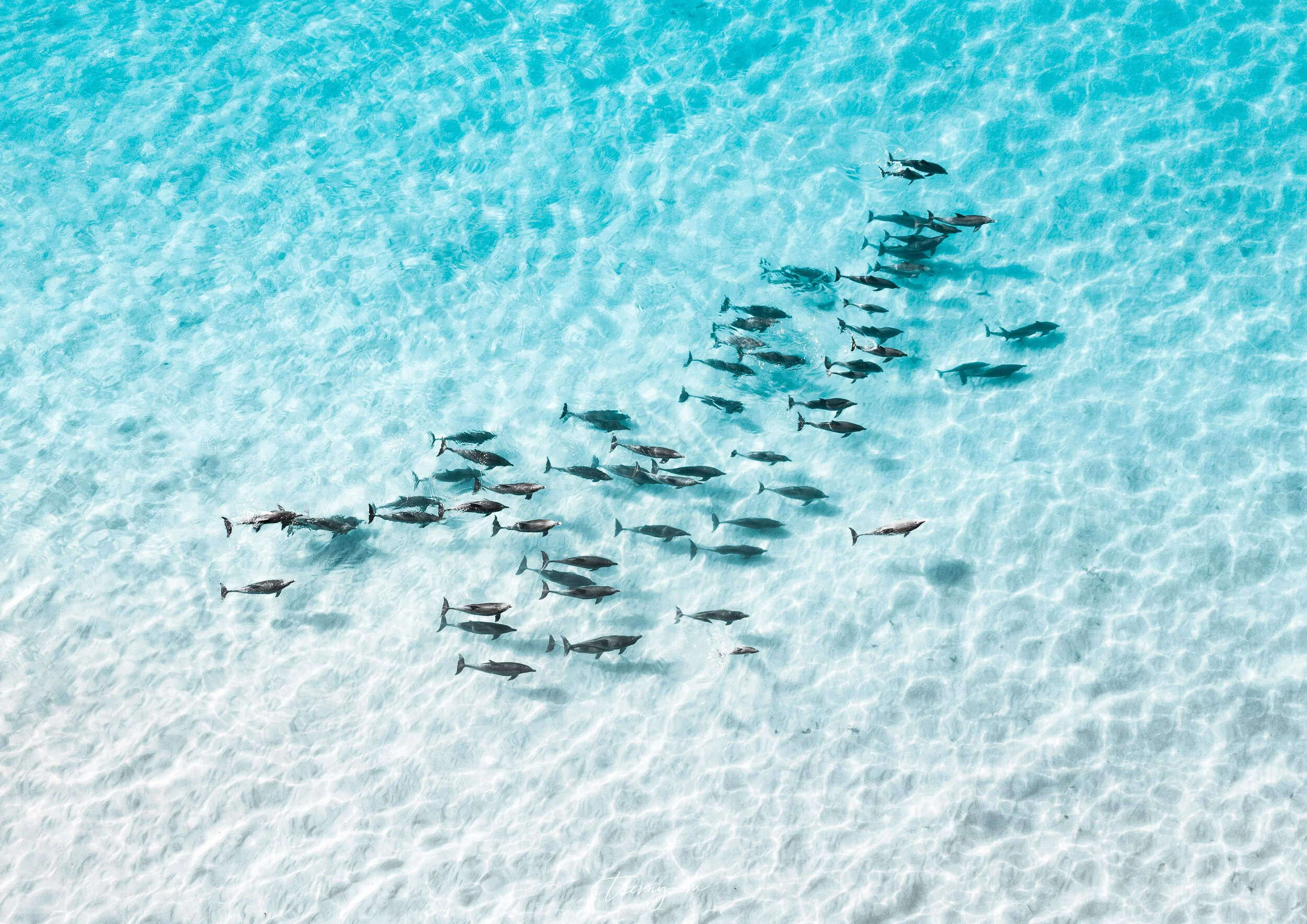 DJI_0993-1.jpg