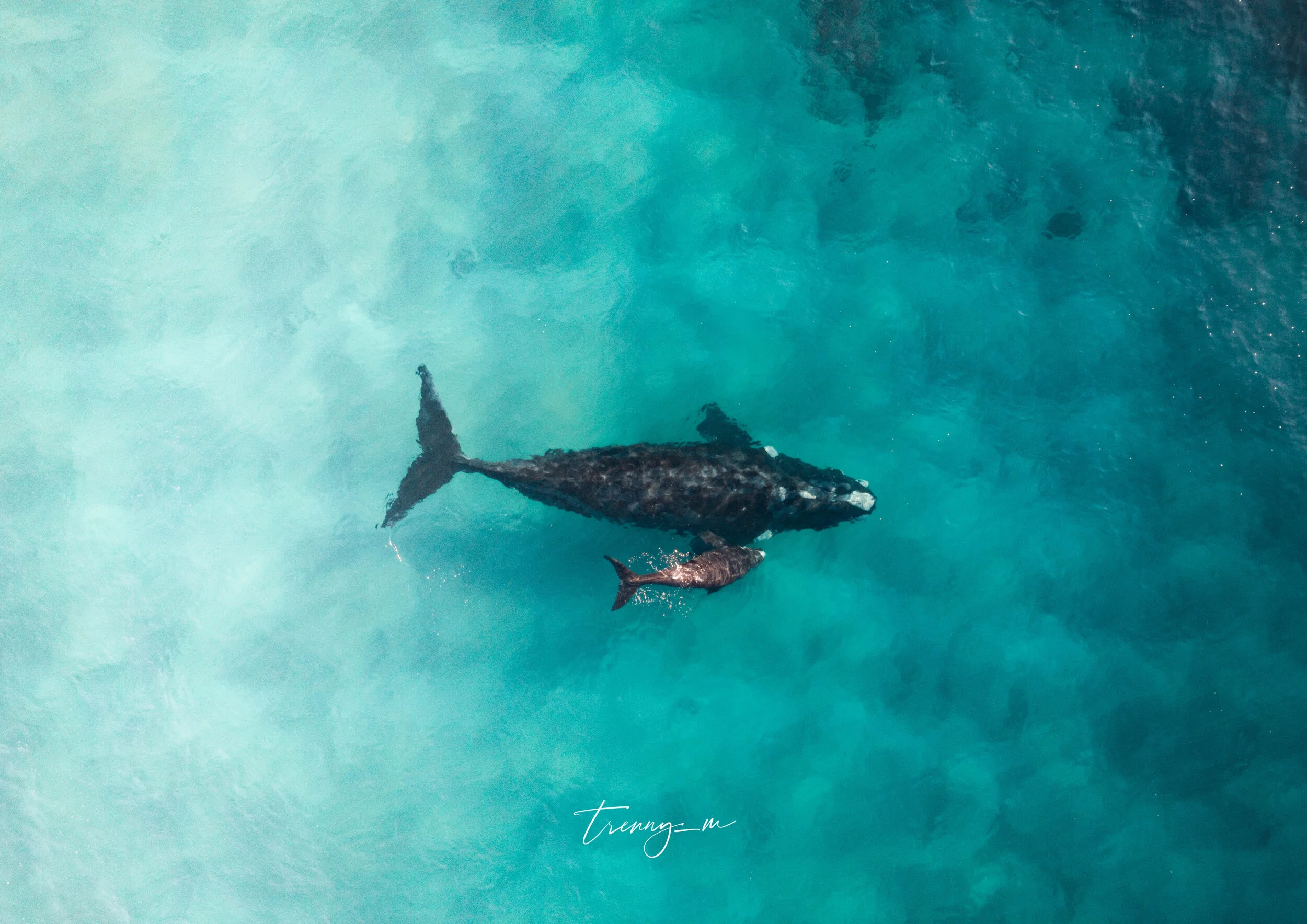 DJI_0101-1.jpg