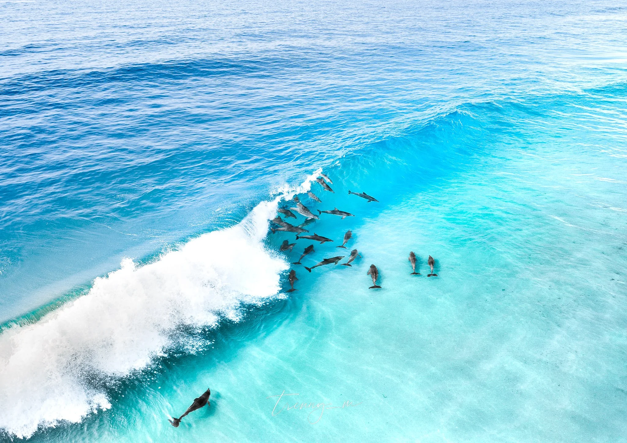 DJI_0229.jpg