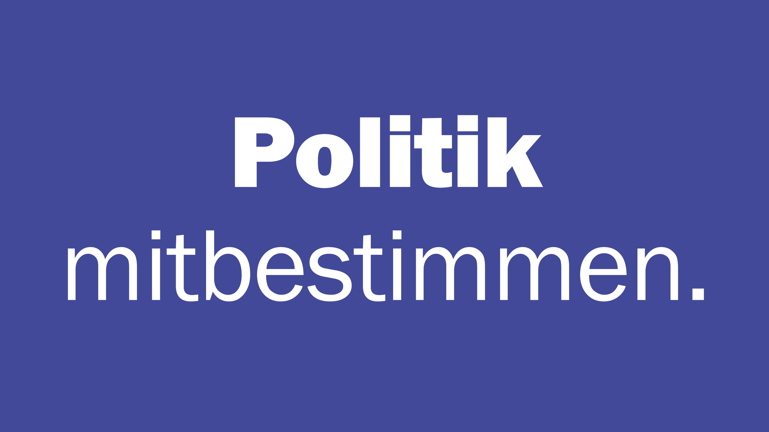 Politik: Essays zu Schweizer Politik, Energie und Gesellschaft im Wandel.