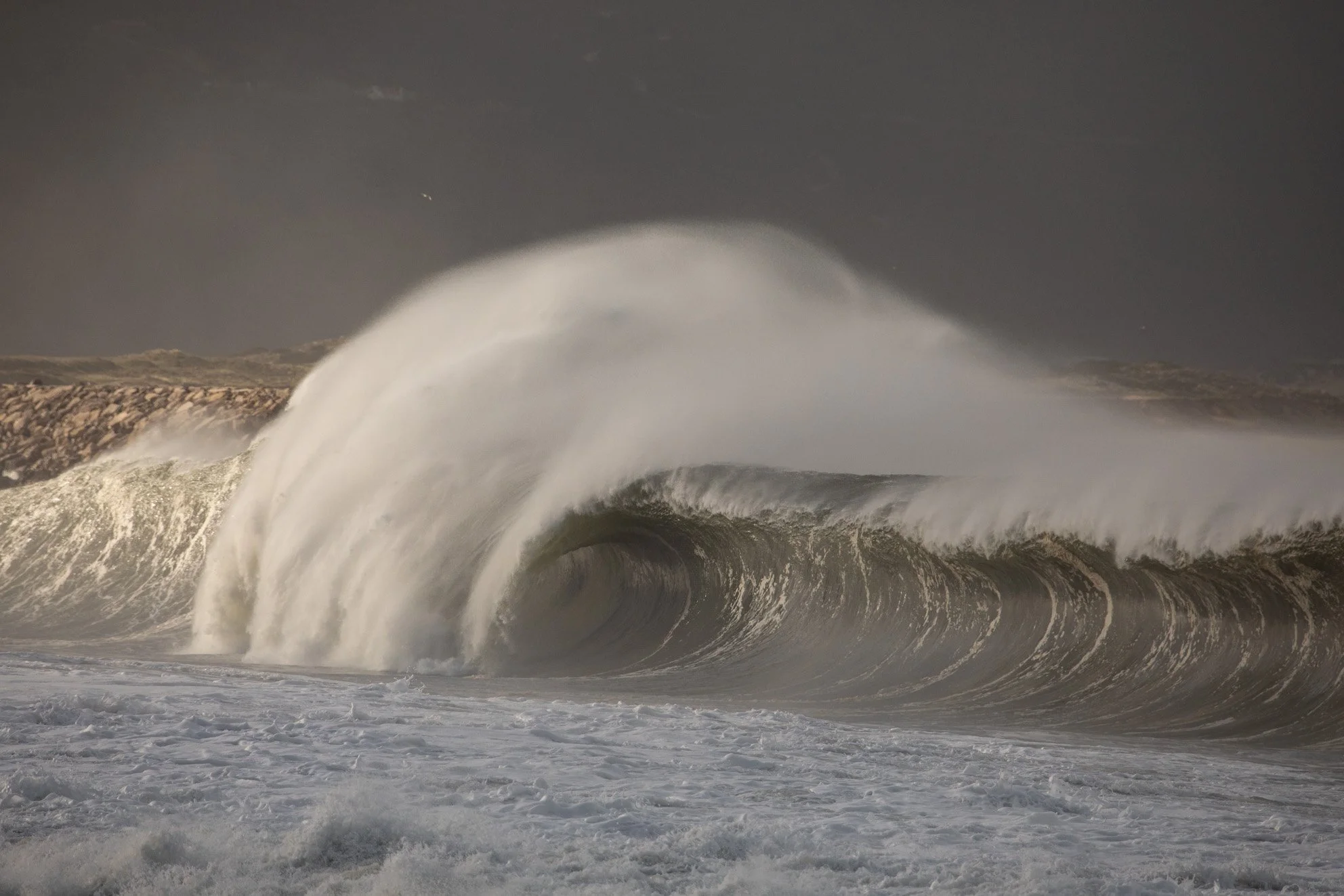 RB_20190202_0285.jpg