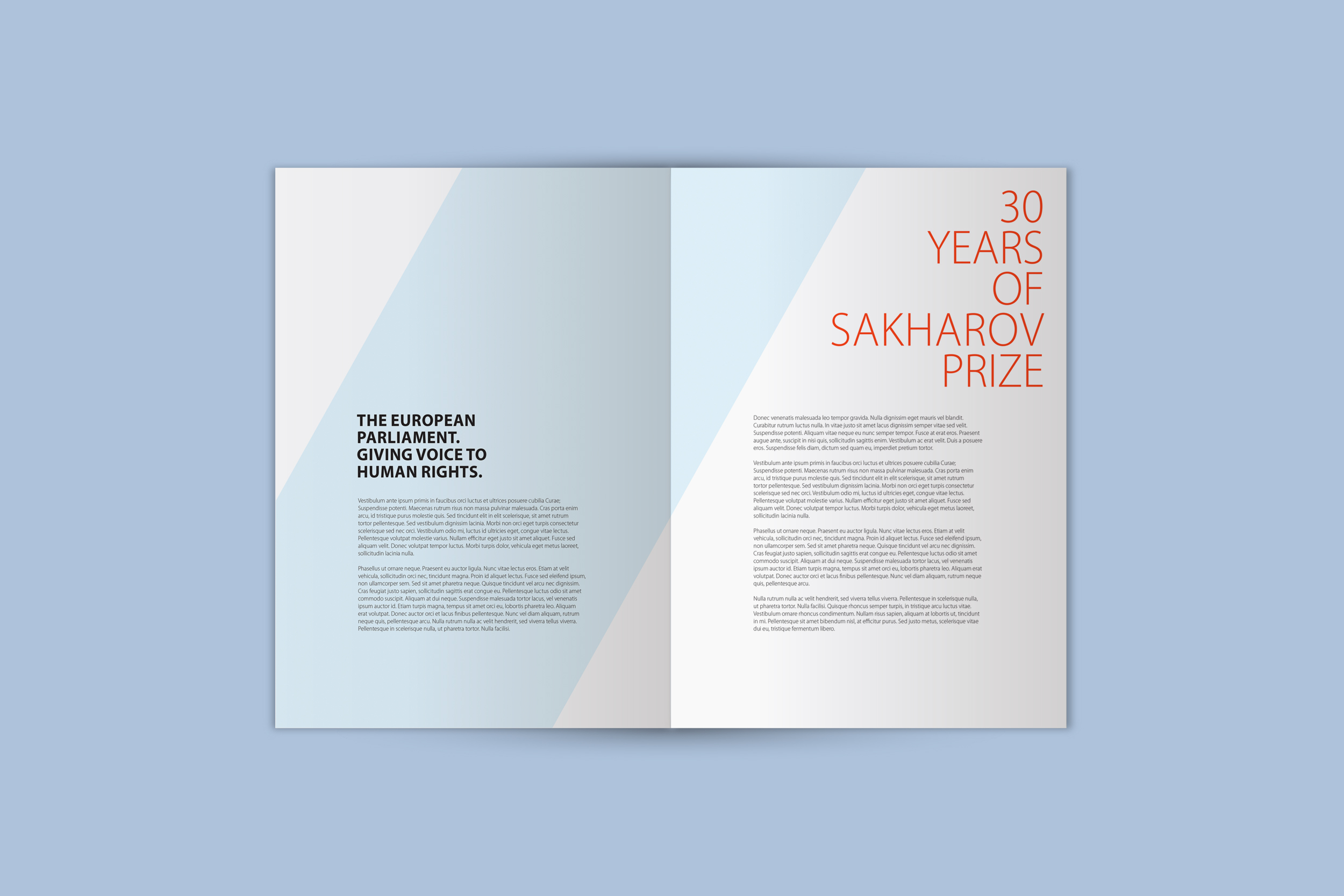 30 ANNIVERSARY SAKHAROV PRIZE
