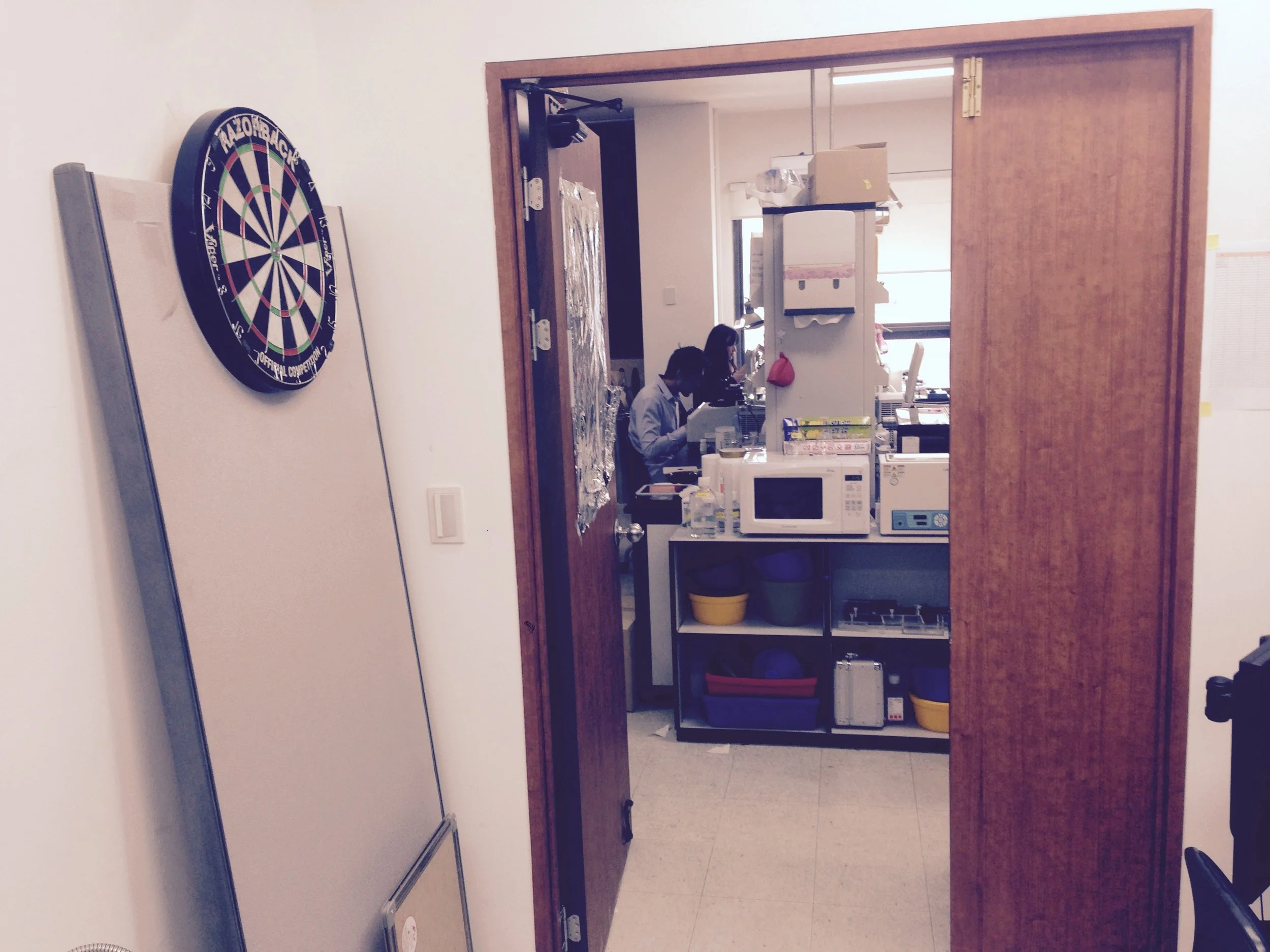 mobile dart board.jpg