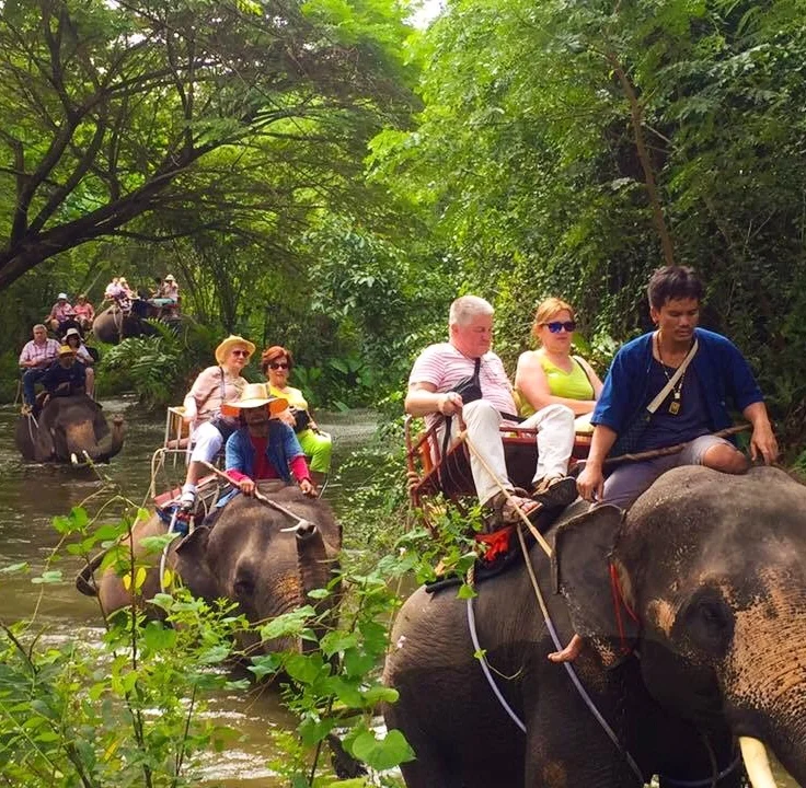 Elephant Village, Ratchaburi, Thailand