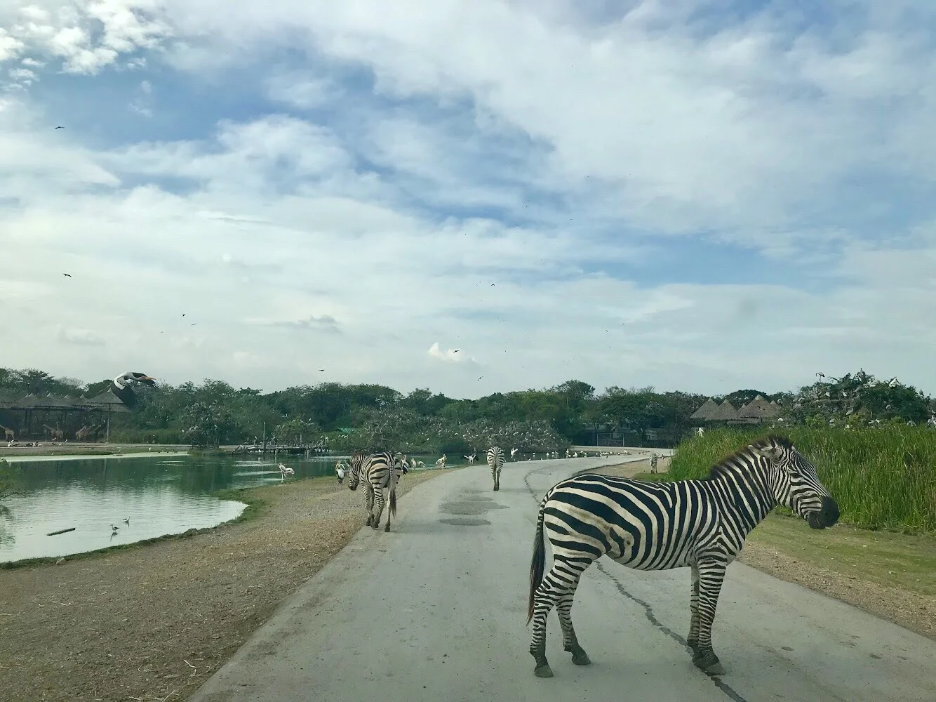 Safari World and Marine Park, Bangkok, Thailand
